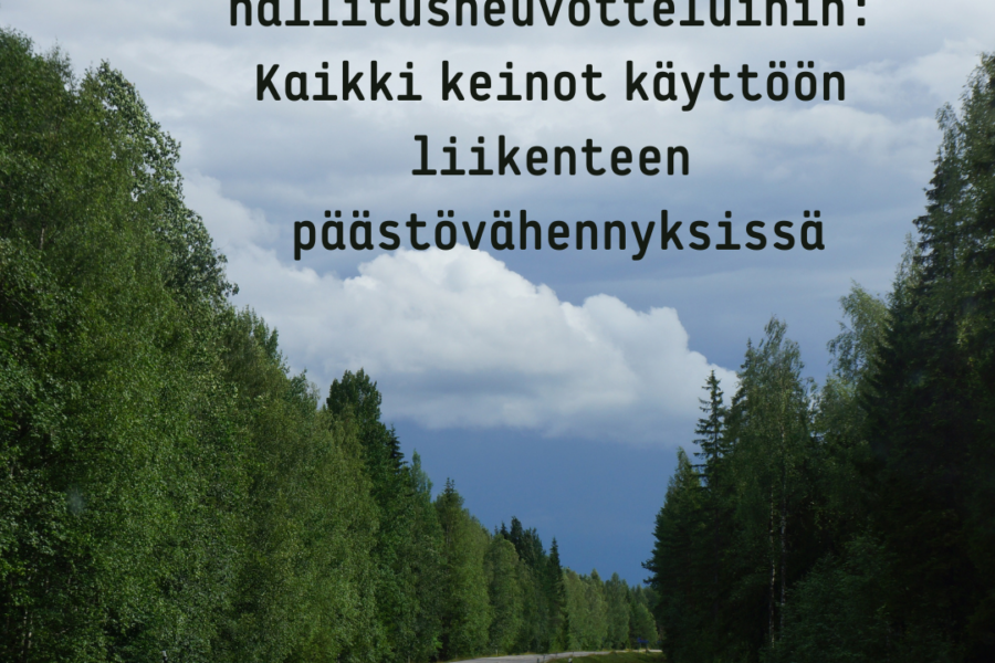 Etanoliautoilijoiden viesti hallitusneuvotteluihin: Kaikki keinot käyttöön liikenteen päästövähennyksissä